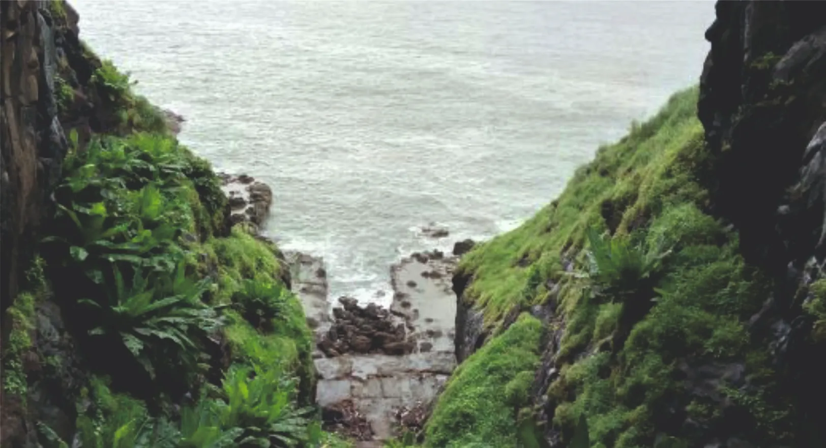 Harihareshwar Beach